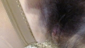 Hairy mature MILF masturbates and toys herself with a dildo